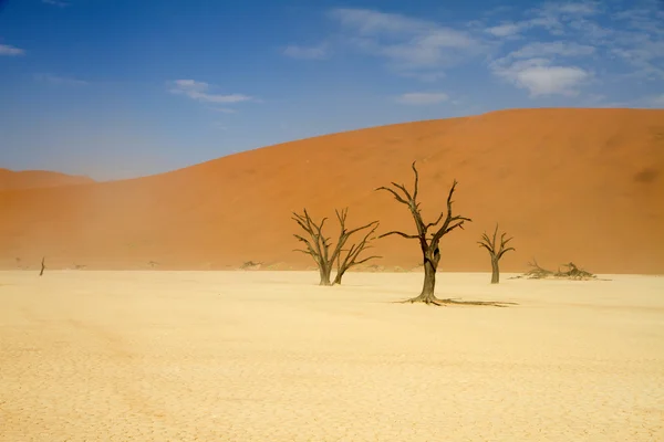 Sossusvlei çöl, Namibya — Stok fotoğraf