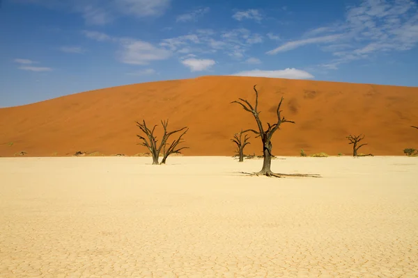 Sossusvlei pustyni, Namibia — Zdjęcie stockowe