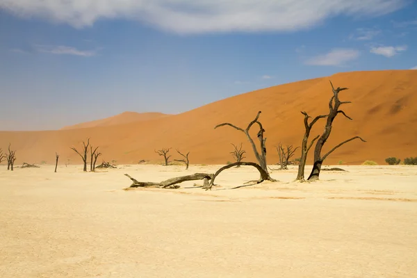 Sossusvlei desert, Namibia — Stock Photo, Image
