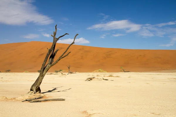 Desierto de Sossusvlei, Namibia — Foto de Stock