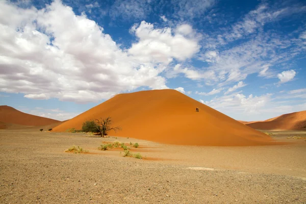 Sossusvlei desert, duna 45, Namibia —  Fotos de Stock