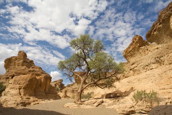 Sesriem canyon, Namíbia — Stock Fotó