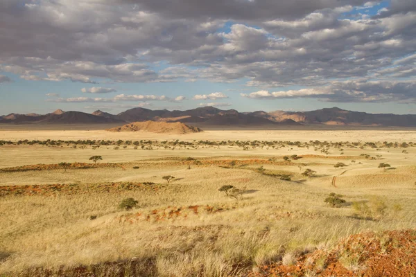 Намібійським краєвид — стокове фото