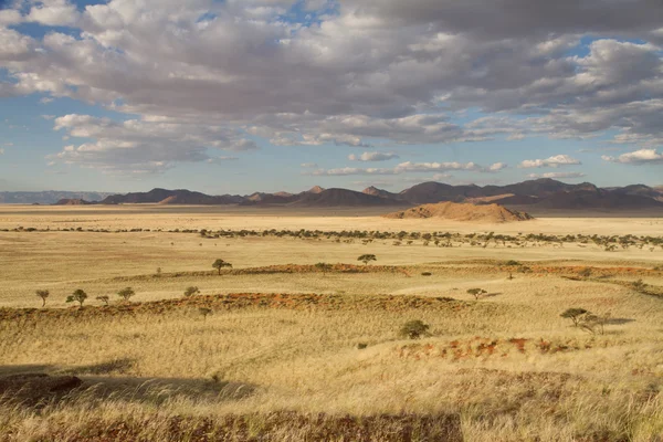 Krajobraz Namibii — Zdjęcie stockowe