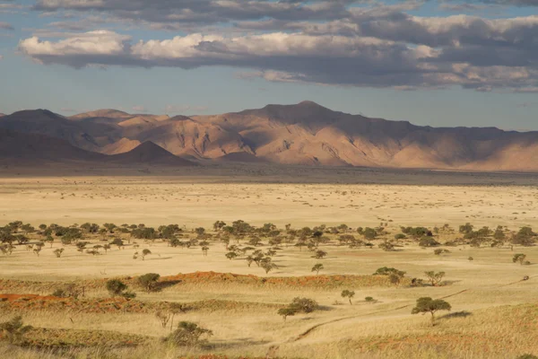 Namibian landscape — Stock Photo, Image