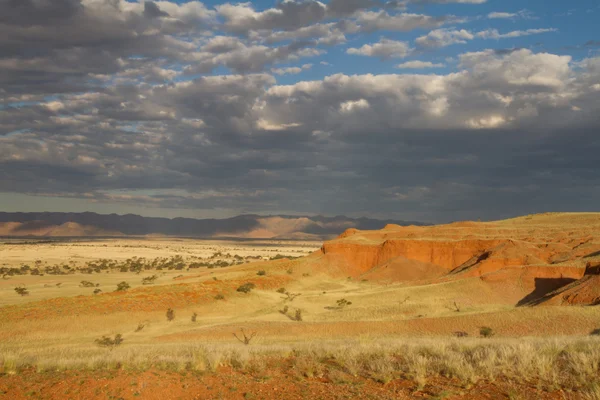 Paisagem namibiana ao pôr do sol — Fotografia de Stock