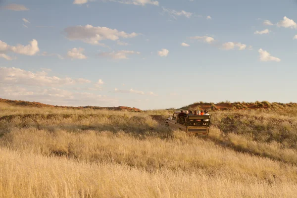 Safari in Namibia — Stockfoto