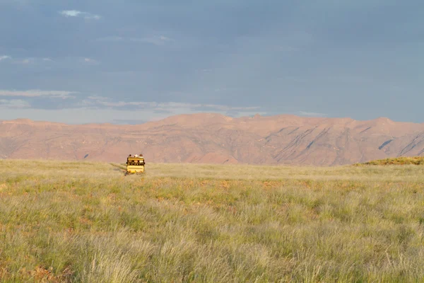 Safari in Namibia — Stock Photo, Image