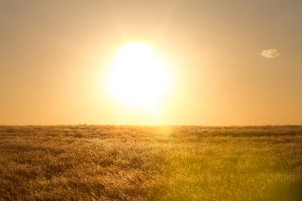 Sonnenuntergang in Namibia — Stockfoto