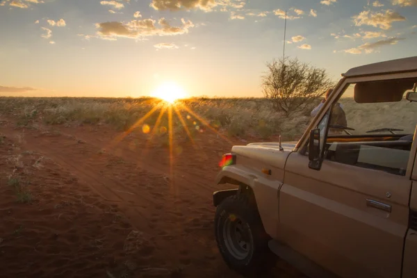 Safari op de zonsondergang, Namibië — Stockfoto