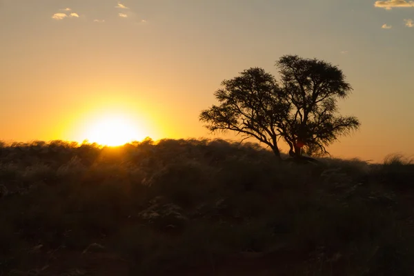 Sunset in Namibia — Stock Photo, Image