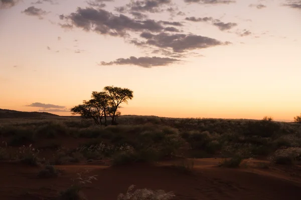 Namibii zachód słońca — Zdjęcie stockowe