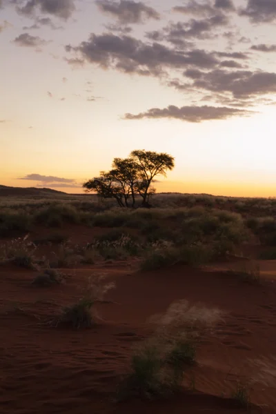 纳米比亚的日落 — 图库照片