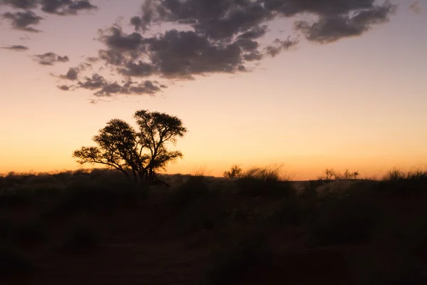 Pôr-do-sol namibiano — Fotografia de Stock