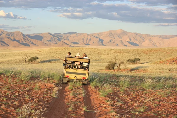 Сафари в Намибии — стоковое фото