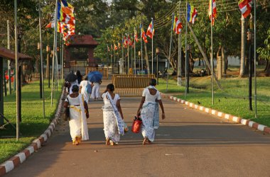 Sri Lankalı kadın