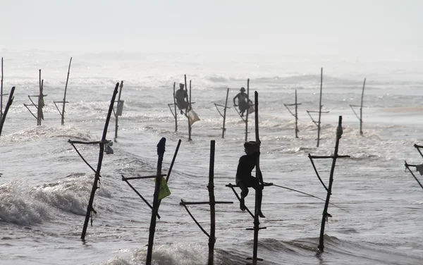 Sri lankan pescador — Fotografia de Stock