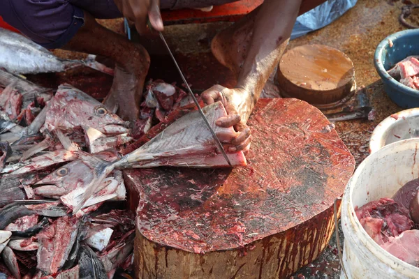 Mercato del pesce — Foto Stock