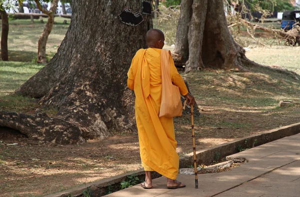Vecchio monaco buddista — Foto Stock