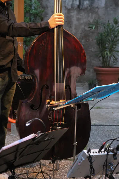 Concerto con violoncello — Foto Stock