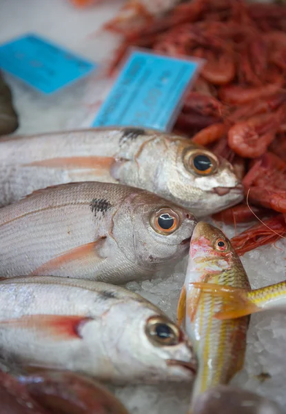 Mercado do peixe — Fotografia de Stock