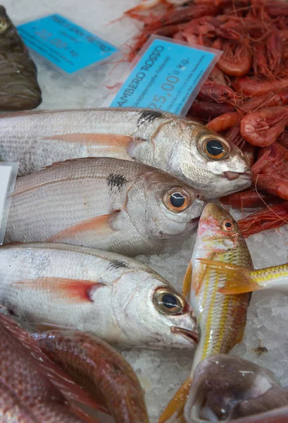 Mercado do peixe — Fotografia de Stock