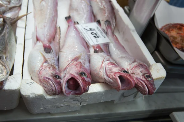 Mercado do peixe — Fotografia de Stock