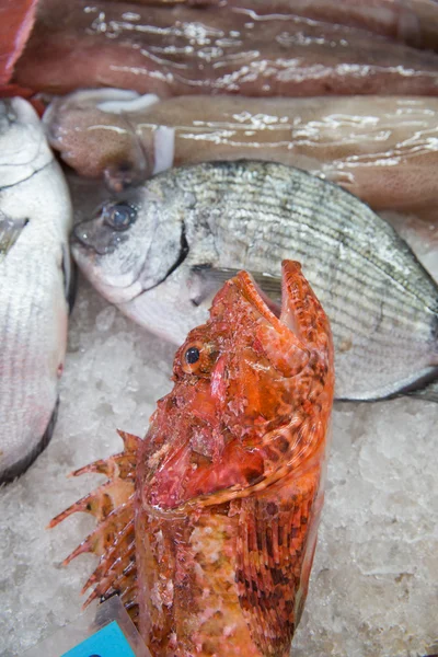 Mercado do peixe — Fotografia de Stock