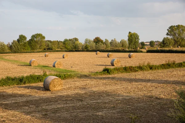 Countryside — Stock Photo, Image