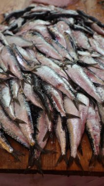 Markete yığılmış taze sardalyalar.