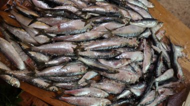 Markete yığılmış taze sardalyalar.