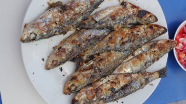 Kömürde pişen ızgara sardalya.