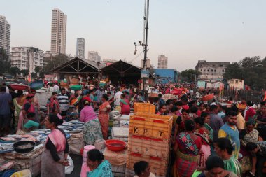 Mumbai, Hindistan 'da balık pazarı var. Satıcılar ve işçiler taze deniz ürünleri taşıyor. Yerel piyasa kültürü ve günlük yaşamın sergilendiği canlı ve canlı bir sahne.