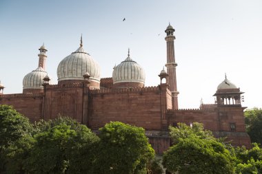 Jama Mescidi Camii, Eski Delhi, Hindistan.