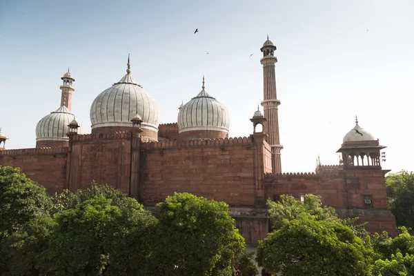 Jama Masjid Mosque, Old Delhi, India. — Stock Photo, Image