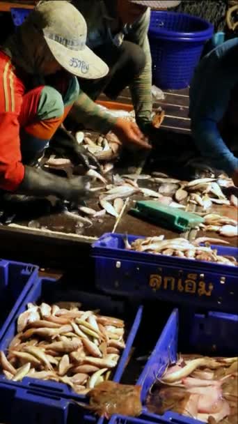 Сортировка рыбы в лодке — стоковое видео