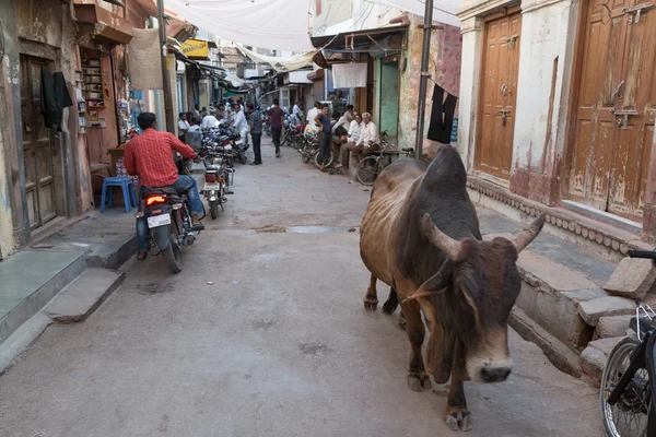 Bikaner, India, dagelijks leven — Stockfoto