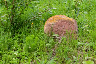 Ufa, Rusya, 05.25.2020. Terk edilmiş bir Müslüman mezarlığında çok eski bir mezar taşı..