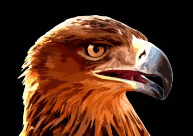 Altın kartal kafası siyah arkaplanda izole edildi.