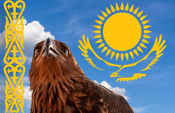 Hlava Zlatého Orla Proti Modré Obloze Symboly Státní Vlajky Kazachstánu — Stock fotografie