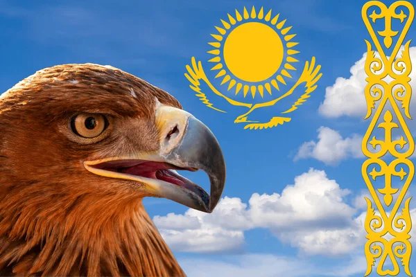 Zlatá Orlí Hlava Profilu Proti Modré Obloze Symboly Kazašské Národní — Stock fotografie