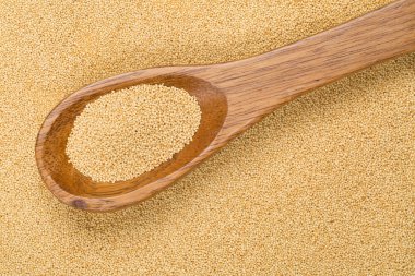 Tahta kaşık çiğ solmayan çiçek tohumları