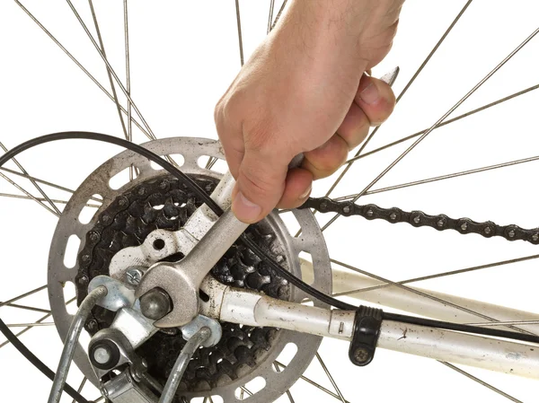 Mann repariert Hinterrad am Fahrrad — Stockfoto