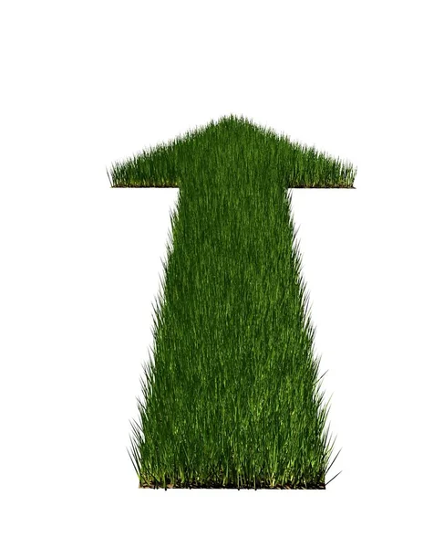 Pointing Green Grass Arrow White Background Clean Environment Development Forward — Stock Photo, Image