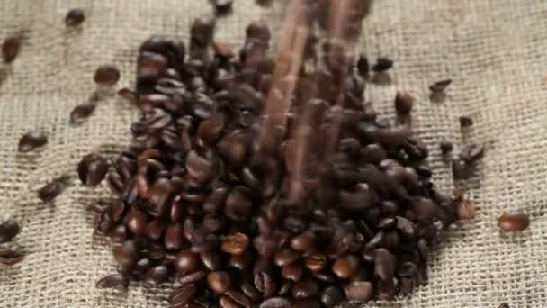 コーヒー豆 — ストック動画