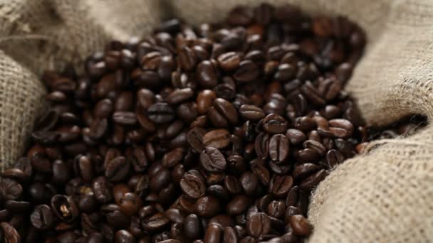 Prueba de granos de café — Vídeos de Stock