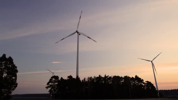 Moulins à vent au coucher du soleil — Video