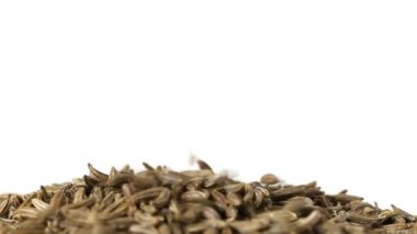 Kimyon veya Kimyon tohumu