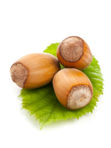 Hazelnuts with hazelnut leaf on white background — Stock Photo, Image