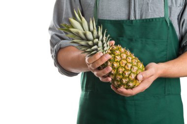Farmer holding whole fresh pineapple fruit clipart